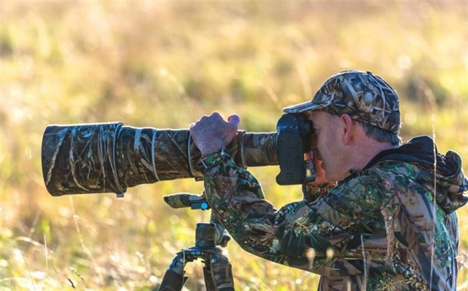 Chú hươu đực làm đỏm với "tóc giả" bằng lá cây - Hình 3 Chu huou duc lam dom voi