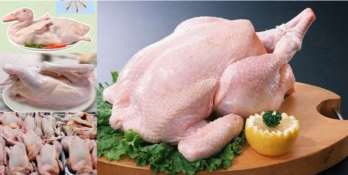 4 tuyet chieu giup ban nho long ga, long vit cuc nhanh