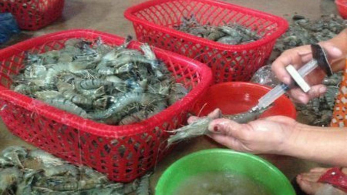 Tom co dau hieu nay dung mua, mang ve an hai than-Hinh-4