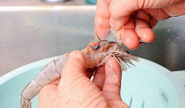 Tom co dau hieu nay dung mua, mang ve an hai than-Hinh-5