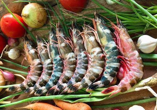 Tom co dau hieu nay dung mua, mang ve an hai than-Hinh-2