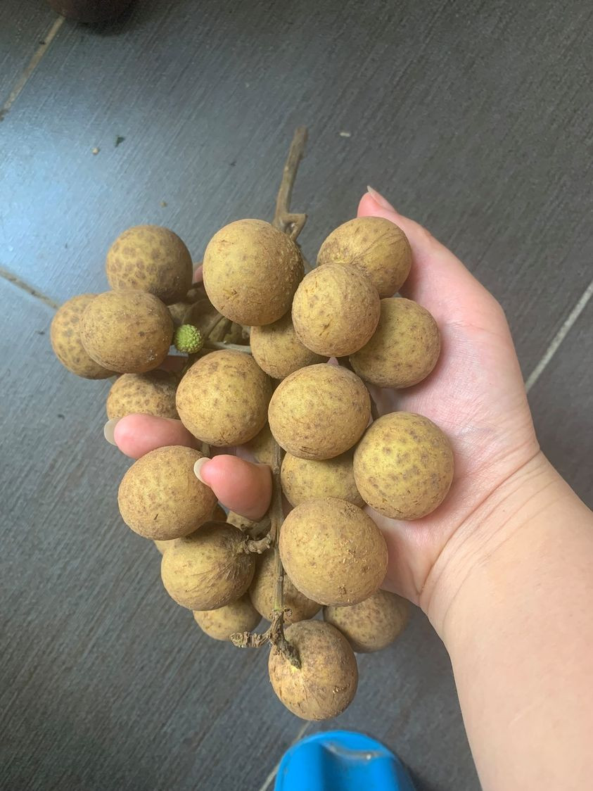 Nhãn giá rẻ bán tràn lan trên Facebook - Hình 4 Nhan gia re ban tran lan tren Facebook-Hinh-4