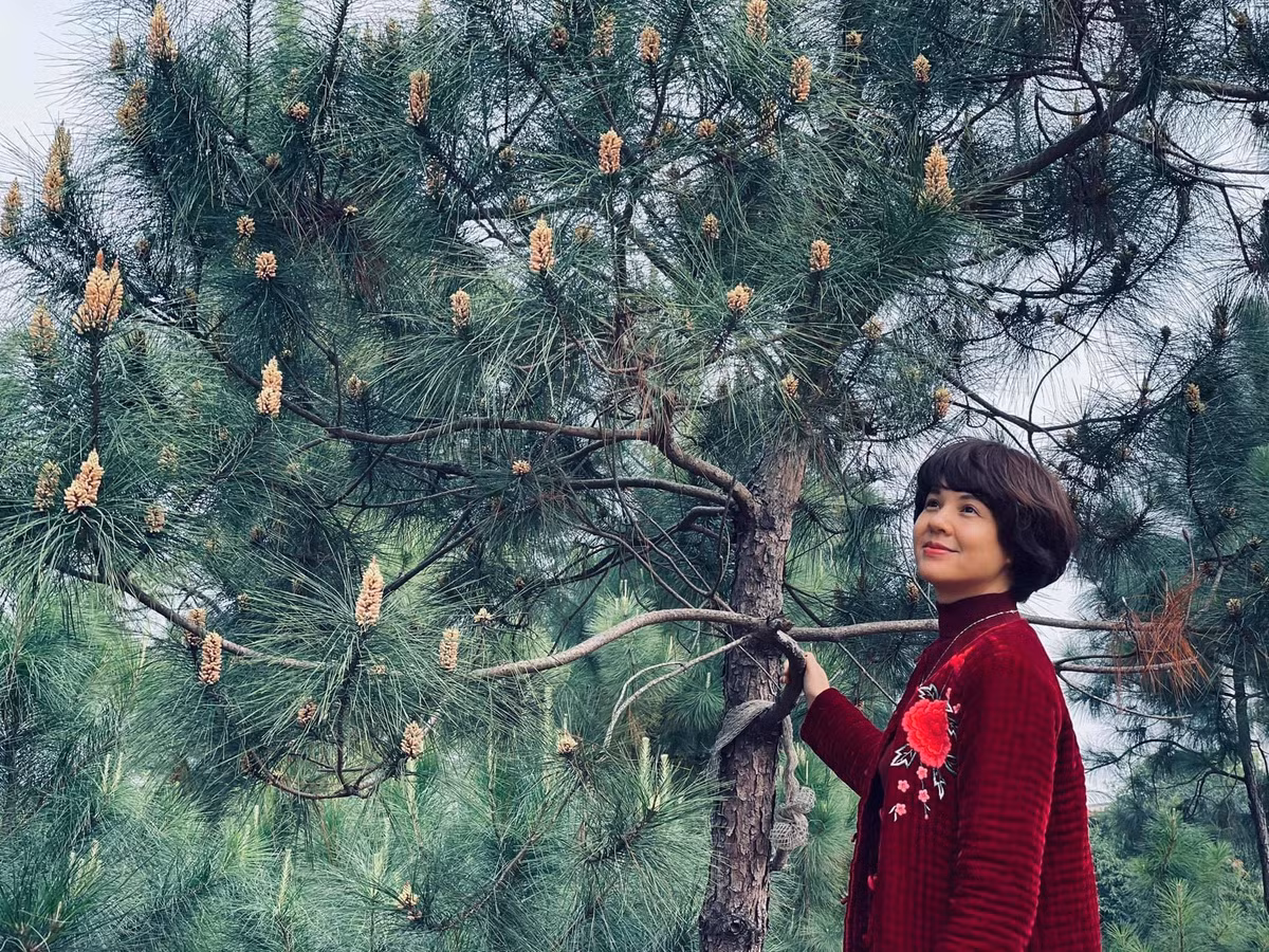 MC Diem Quynh tre trung, sanh dieu o tuoi 49-Hinh-7