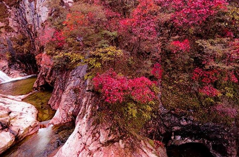 Canh sac than tien tren nui Lao Quan-Hinh-7