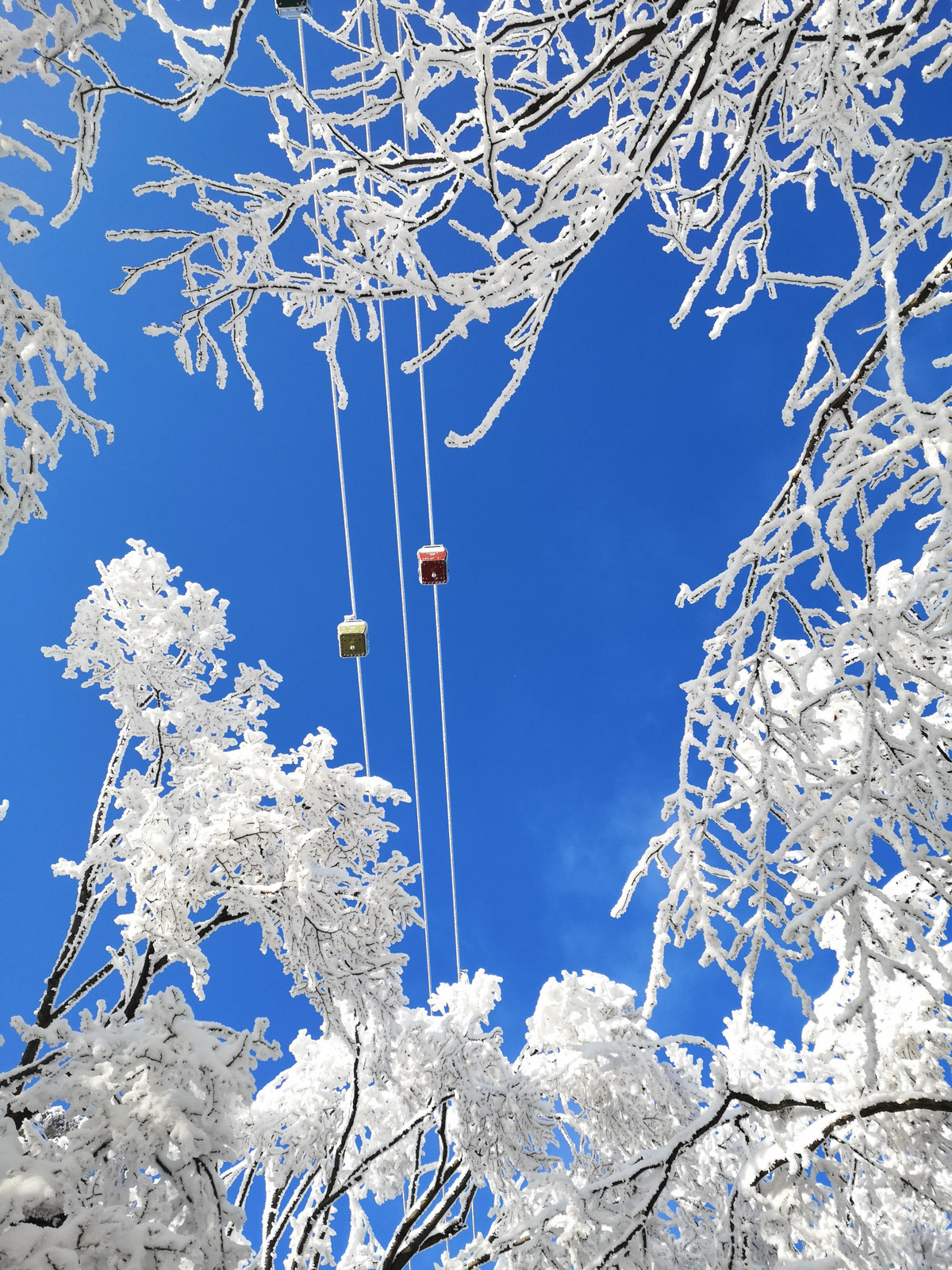 Canh sac than tien tren nui Lao Quan-Hinh-5