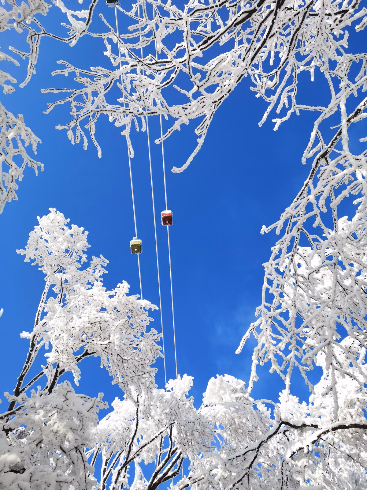 Canh sac than tien tren nui Lao Quan-Hinh-5