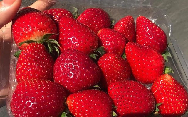 12 loai qua quen thuoc 90% ngam thuoc doc hai-Hinh-3