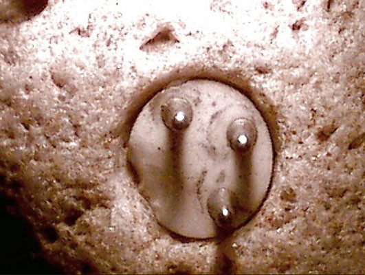 Thông tin về hiện vật trên được đăng tải trên các tạp chí như Fortean Times và tạp chí UFO - tạp chí nổi tiếng về các hiện tượng bí ẩn. Nhiều người cho rằng hiện vật mà ông Williams phát hiện chỉ là một trò lừa bịp vì ông từ chối làm vỡ phích cắm cổ đại trên và cho biết sẵn sàng bán nó với giá 500.000 USD. Tuy nhiên, sau khi các chuyên gia phân tích hiện vật, họ phát hiện phiến đá có niên đại khoảng 100.000 năm tuổi, nên chiếc phích cắm không thể là sản phẩm lừa đảo do Williams dàn dựng.