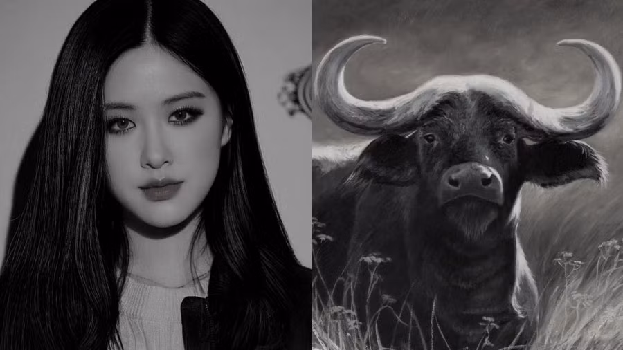 5 con giap nu nay dung ham gay, cang beo cang phuc khi-Hinh-2