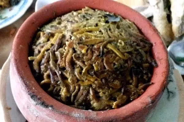 Chang trai ngau nghien nhai ruoi nguyen con, xem ma hai-Hinh-7