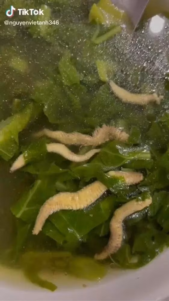 Chang trai ngau nghien nhai ruoi nguyen con, xem ma hai-Hinh-2