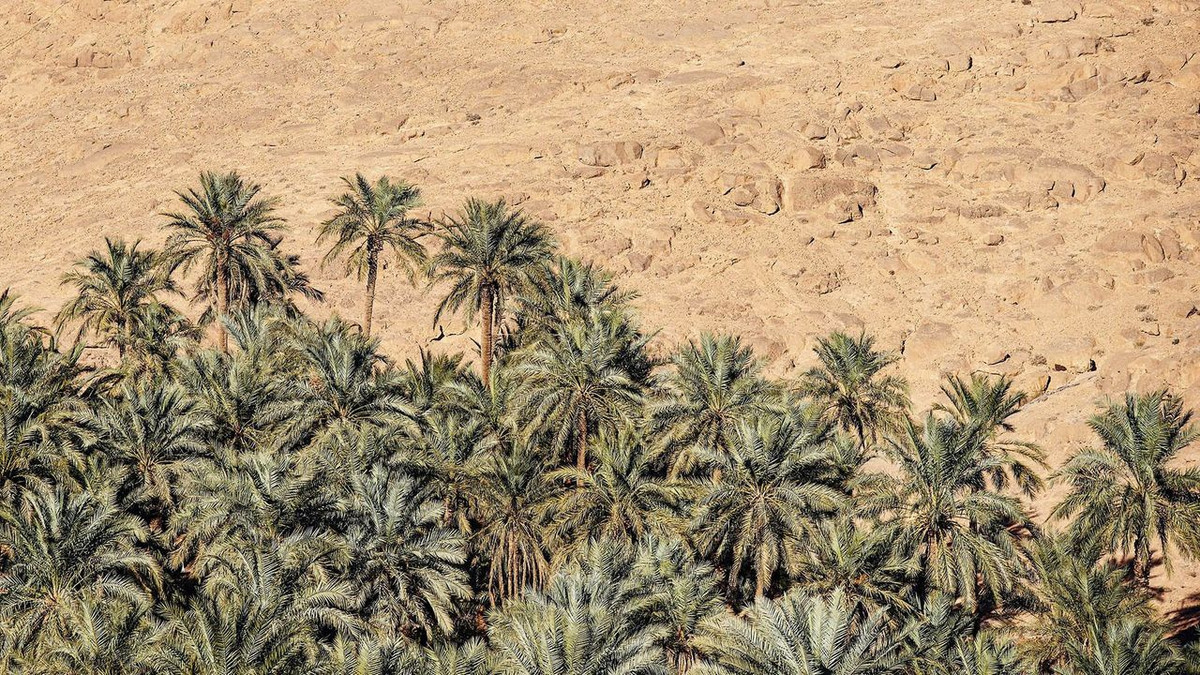 br/> Một vấn đề khác đáng quan tâm của người dân sống trong những thành phố này là nước. Với họ, nước còn quý hơn vàng. Có một hội đồng chuyên trách giám sát việc sử dụng nguồn nước. Ở đây, họ có những hình phạt cho người sử dụng nhiều nước hơn mặt bằng chung của xã hội. Thực tế, từ năm 2008-2017, thung lũng M'Zab không có nổi một giọt mưa. Đó là lý do khiến họ nghiêm túc thực hiện các quy định. 