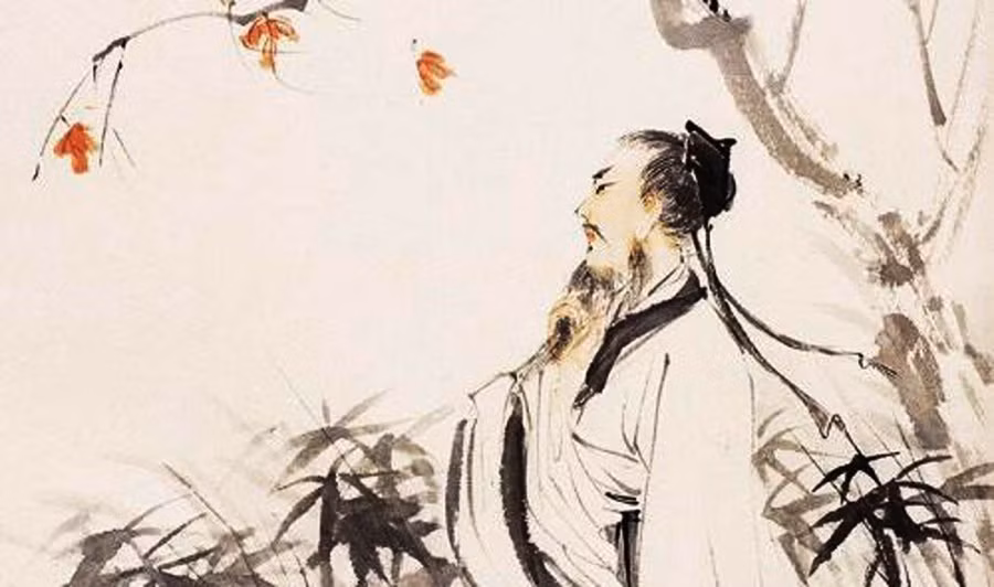 Ket giao tranh nguoi lung rua, eo ran, anh mat liec xeo nhin ngang-Hinh-2