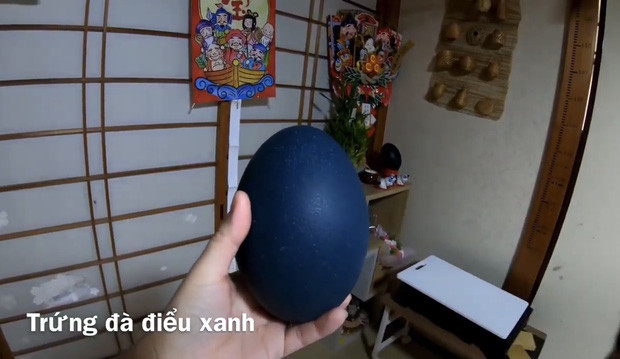 Quynh Tran JP lan dau tiet lo noi tro xap xe-Hinh-10