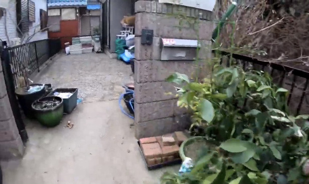 Quynh Tran JP lan dau tiet lo noi tro xap xe-Hinh-3