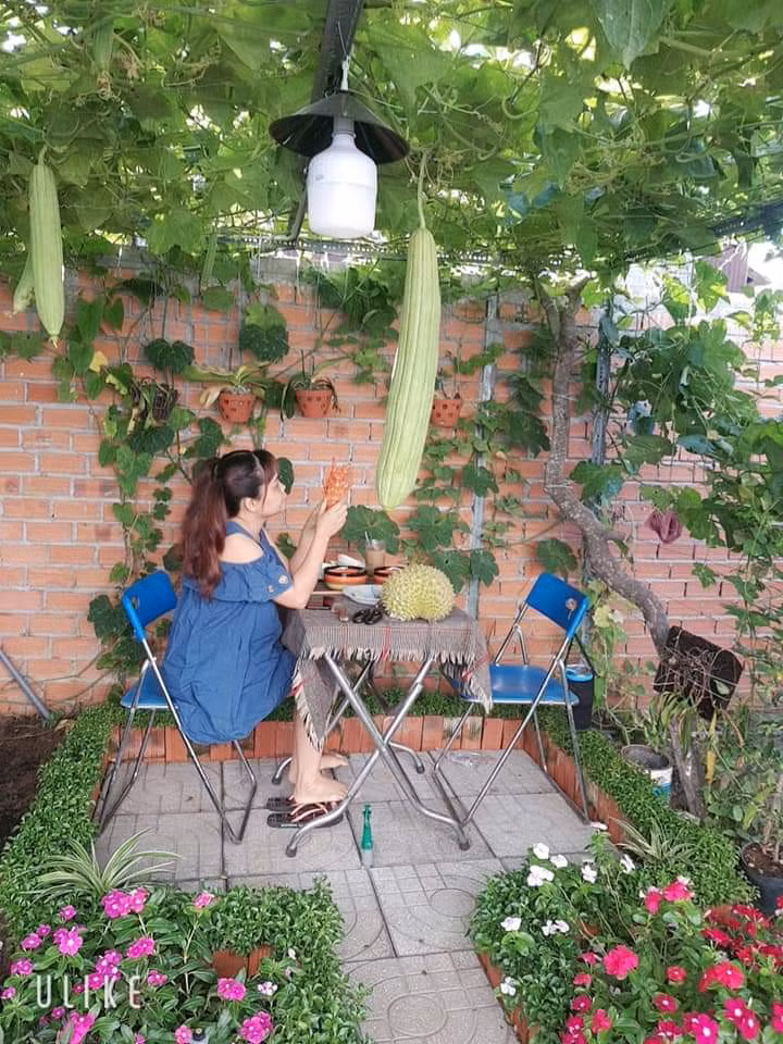 Doi vo chong o TP.HCM trong rau, lam vuon khi cach ly tai nha