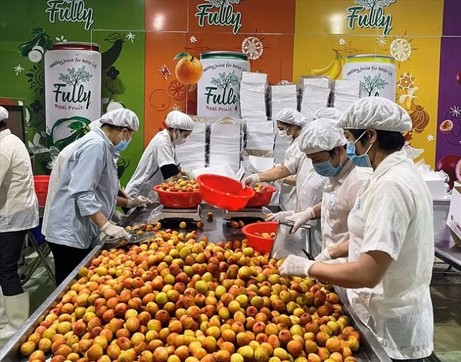 Vai thieu ban day cho Viet, sang nuoc ban co gia 1 trieu/hop 12 qua