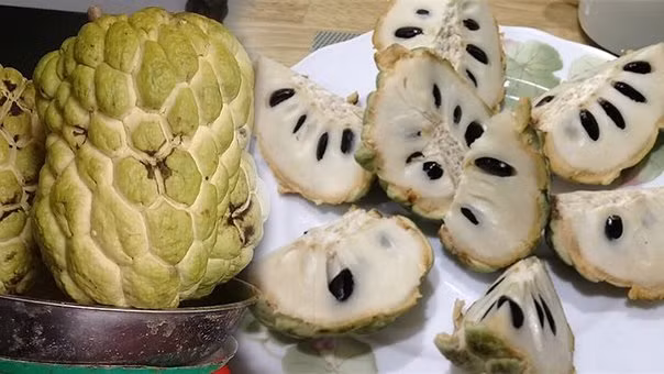 Mot bo phan cuc doc cua qua na nhat dinh phai luoc bo khi an