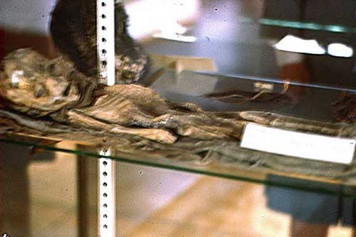 Bằng chứng gây tranh cãi về người ngoài hành tinh Bang chung gay tranh cai ve nguoi ngoai hanh tinh