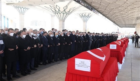 Bí ẩn về “báo sư tử” khiến 40 lính Thổ thiệt mạng ảnh 3