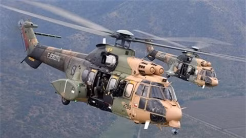 Bí ẩn về “báo sư tử” khiến 40 lính Thổ thiệt mạng ảnh 1