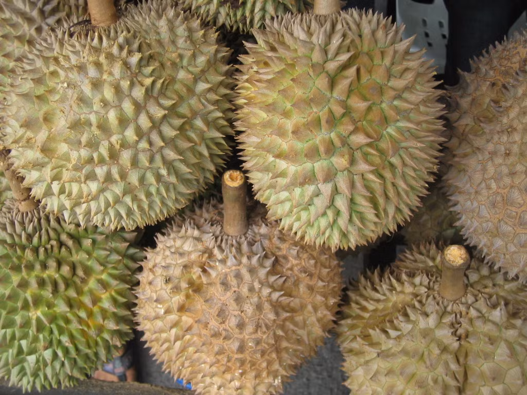 Sau rieng dang vao mua, day la cach chon sau chuan ngon, khong bi suong-Hinh-6