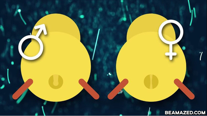 My treo thuong gap 5 lan Nobel de cuu song 7 ty con ga trong-Hinh-3