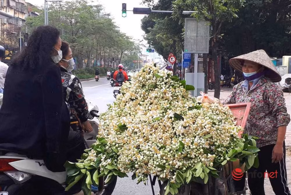 Chu sap bo qua ban hang chuc can hoa buoi, thu tien trieu moi ngay