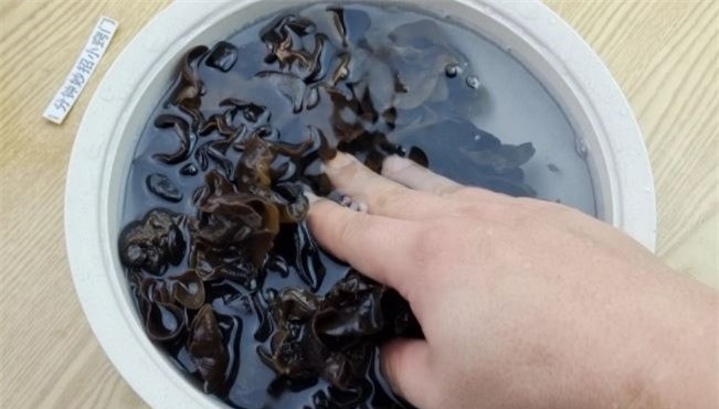 Rửa mộc nhĩ với nước nóng chẳng khác nào "nhúng" vào thuốc độc ảnh 5