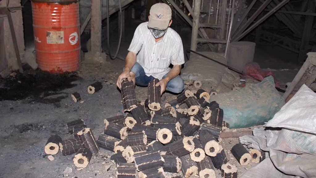 Loai vo trai cay bo di, bong thanh hang gia tri thu ve tien ty-Hinh-4