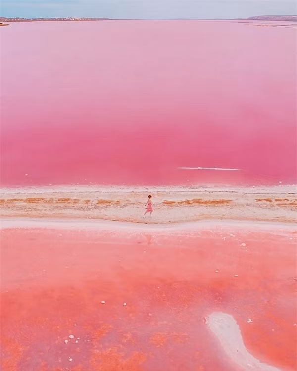 Chiêm ngưỡng hồ nước màu hồng tuyệt đẹp nằm cạnh nhà máy sản xuất vi tảo ảnh 3