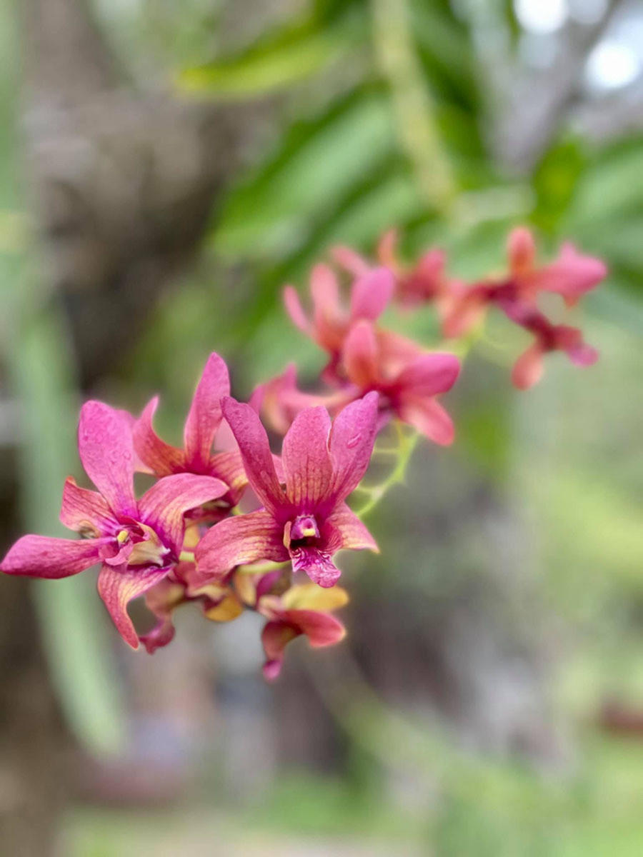 Con rể tương lai khinh thường vì tôi từng ly hôn ảnh 1