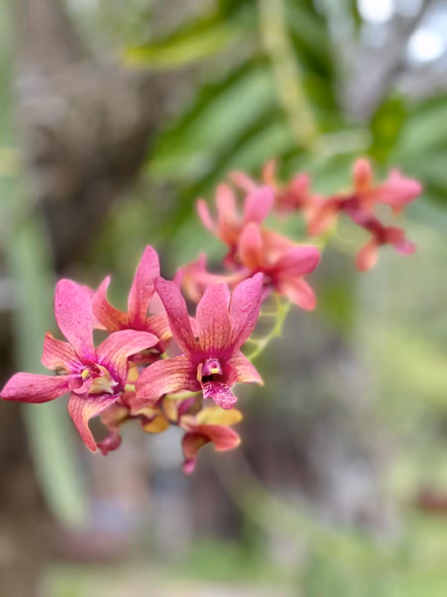 Con rể tương lai khinh thường vì tôi từng ly hôn ảnh 1