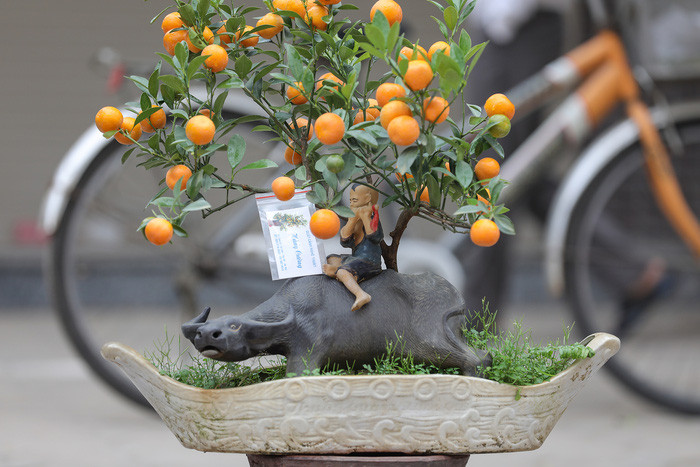 "Con trâu là đầu cơ nghiệp nên không chỉ riêng năm Tân Sửu mà tôi nghĩ sản phẩm này phù hợp với tất cả các năm khi nó tượng trưng cho sự ấm no, đầy đủ, sung túc" - chị Thư nói.