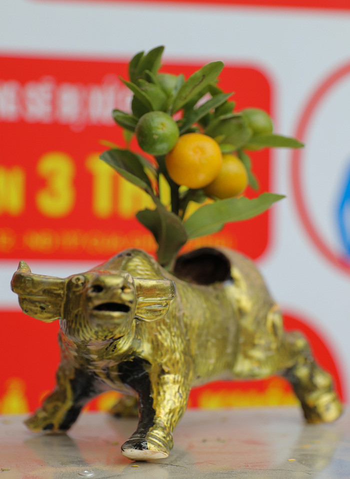 Trong thời gian tới, song song với những quy hoạch của thành phố, đặc biệt là quy hoạch thành phố hai bên song Hồng, chính quyền phường Tứ Liên cũng sẽ có những quy hoạch cho từng khu vực với những diện tích quất cụ thể nhằm quẳng bá, phát triển và duy trì thương hiệu quất Tứ Liên. 