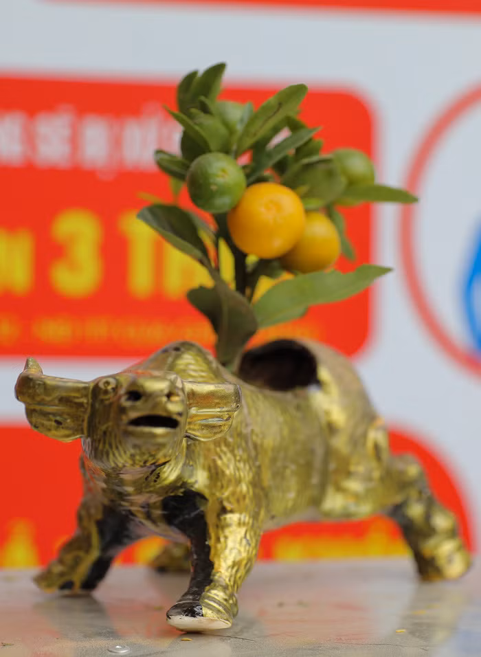 Trong thời gian tới, song song với những quy hoạch của thành phố, đặc biệt là quy hoạch thành phố hai bên song Hồng, chính quyền phường Tứ Liên cũng sẽ có những quy hoạch cho từng khu vực với những diện tích quất cụ thể nhằm quẳng bá, phát triển và duy trì thương hiệu quất Tứ Liên. 