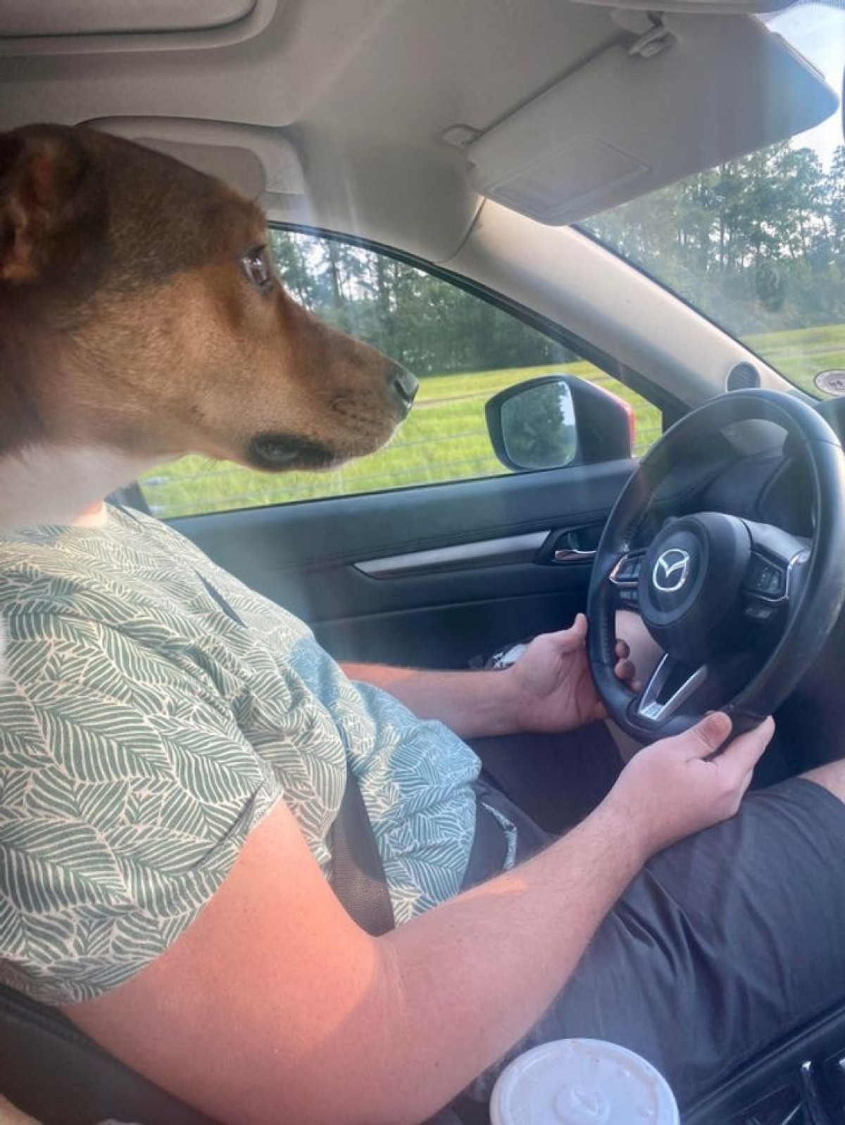 Bức ảnh khiến bạn phải nhìn lại lần hai vì một khoảnh khắc "đúng thời điểm" thú vị.