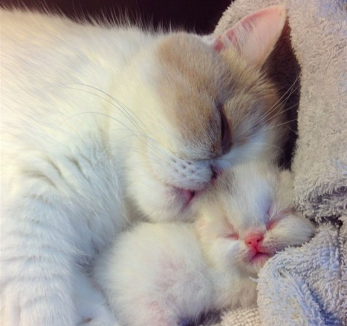 Hạnh phúc ấm áp.