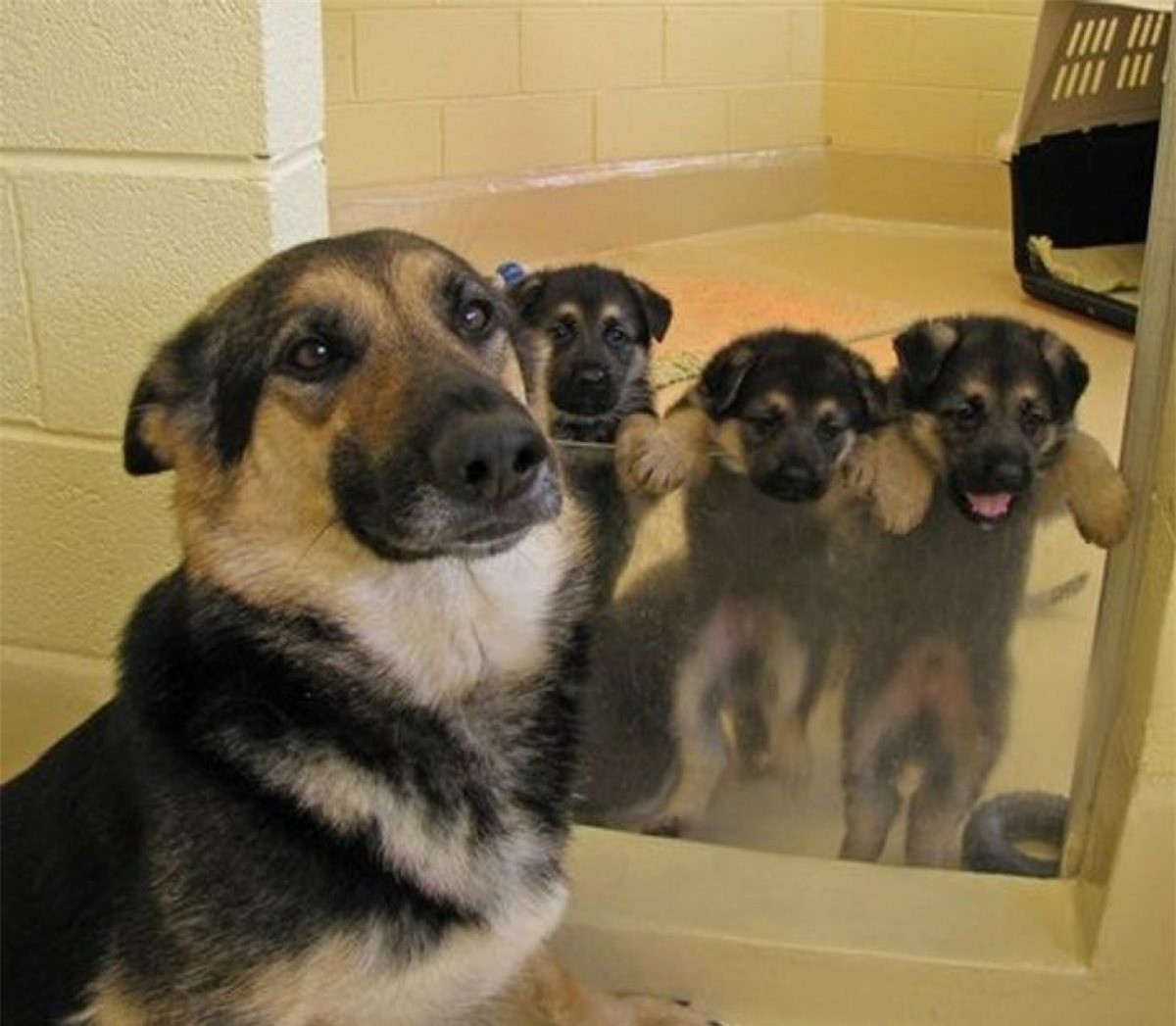 Đã đến tuổi đòi đi chơi nhưng mẹ nghiêm khắc lắm.