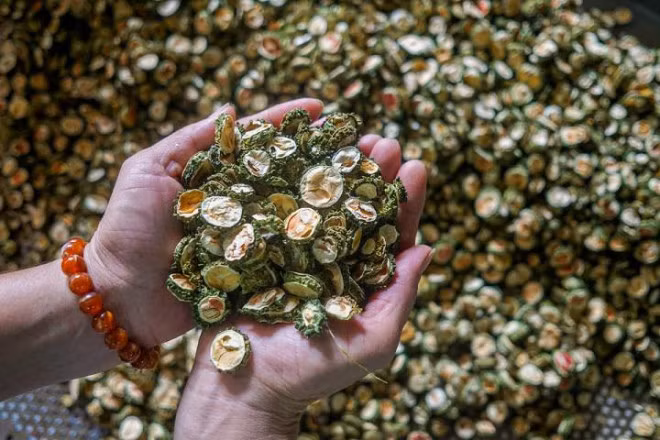 Voi nhung cong dung tuyet voi, muop dang rung duoc hoi chi em san lung-Hinh-5