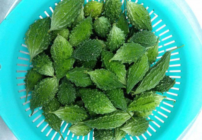 Voi nhung cong dung tuyet voi, muop dang rung duoc hoi chi em san lung-Hinh-3