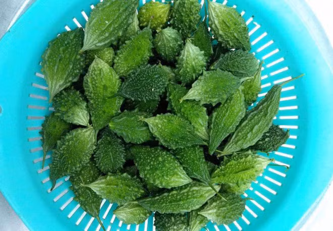 Voi nhung cong dung tuyet voi, muop dang rung duoc hoi chi em san lung-Hinh-3