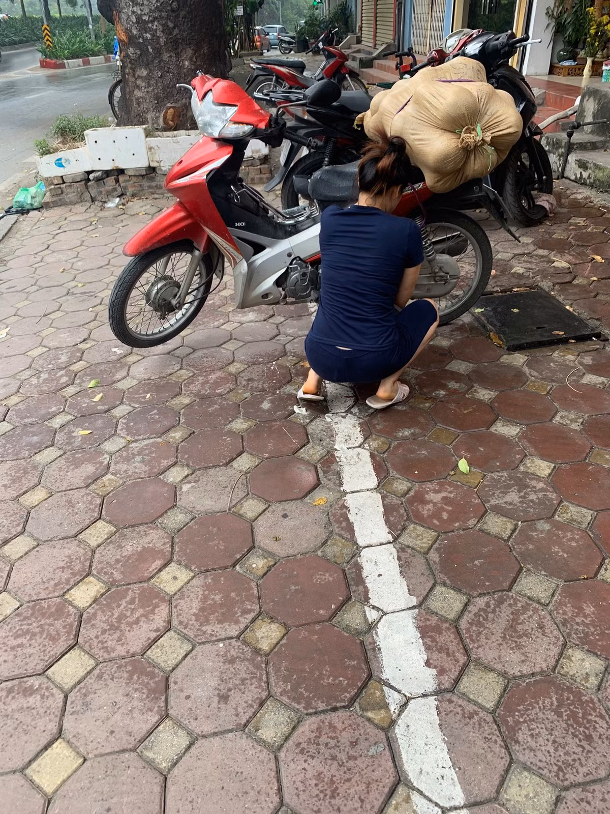 Buoi Doan Hung duoc ban voi gia 9.000 dong/qua-Hinh-6