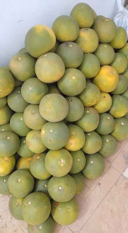 Buoi Doan Hung duoc ban voi gia 9.000 dong/qua-Hinh-2