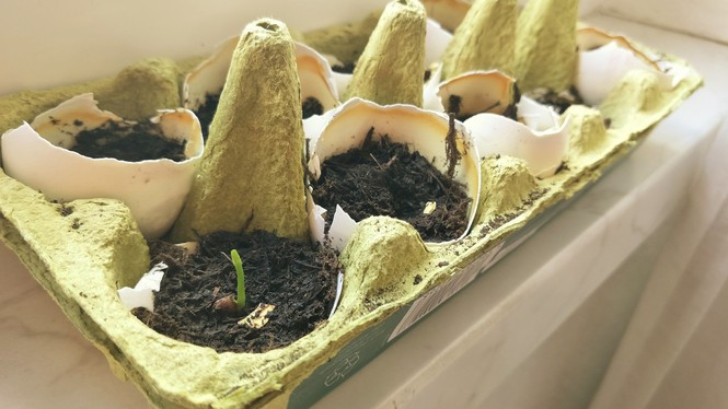 Du học sinh Việt tại Đức chia sẻ bí kíp chi tiêu trong mùa dịch - Hình 7 Du hoc sinh Viet tai Duc chia se bi kip chi tieu trong mua dich-Hinh-7