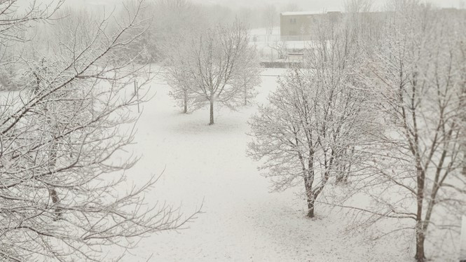 Du học sinh Việt tại Đức chia sẻ bí kíp chi tiêu trong mùa dịch - Hình 4 Du hoc sinh Viet tai Duc chia se bi kip chi tieu trong mua dich-Hinh-4