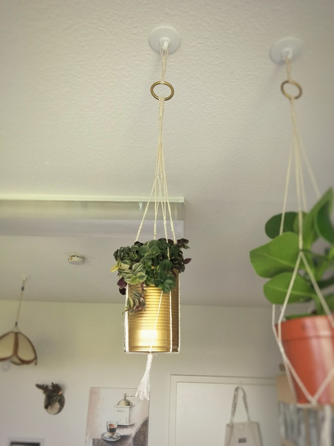 Du học sinh Việt tại Đức chia sẻ bí kíp chi tiêu trong mùa dịch - Hình 10 Du hoc sinh Viet tai Duc chia se bi kip chi tieu trong mua dich-Hinh-10