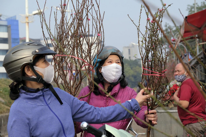 Dao Nhat Tan chiu canh diu hiu, nong dan quyet khong ban cho nguoi ep gia-Hinh-3