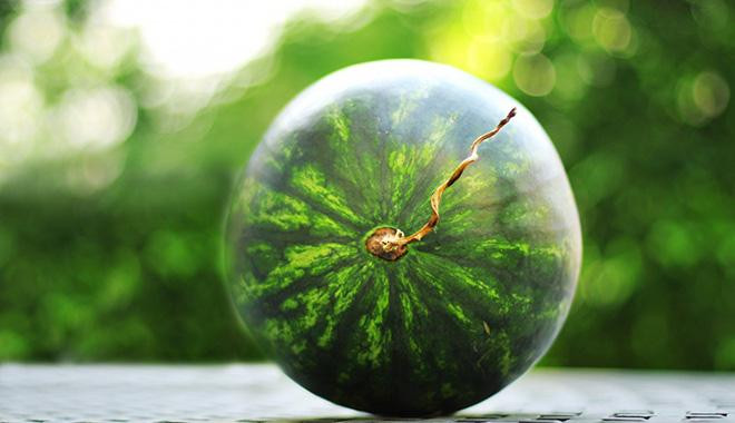 Thấy dưa hấu có đặc điểm này thì xuống tiền mua ngay đảm bảo ngon Thay dua hau co dac diem nay thi xuong tien mua ngay dam bao ngon