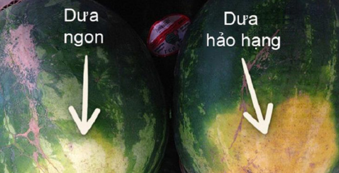 Thay dua hau co dac diem nay thi xuong tien mua ngay dam bao ngon-Hinh-3